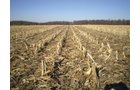 Property photo 27 - 159 Acres Offered in 7 Tracts